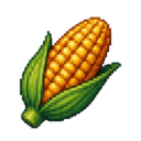 Semilla de Maíz Dorado