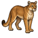 Puma de las Montañas